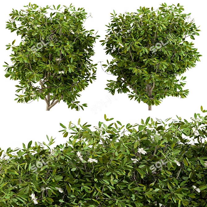 EasyGrow Bush Plants 3D model image 1