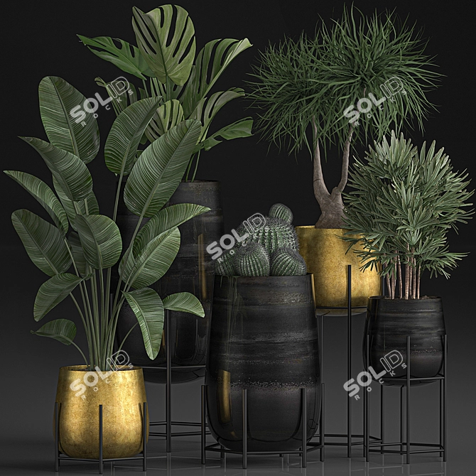 Tropical Indoor Plant Collection 3D model image 1