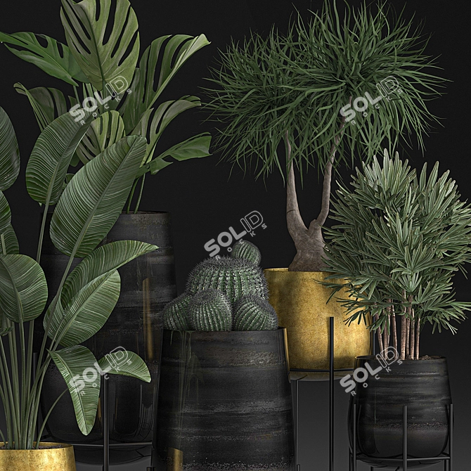 Tropical Indoor Plant Collection 3D model image 4