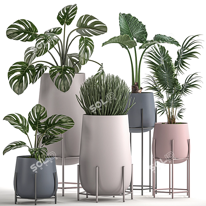 Tropical Plant Set: Palms, Monstera & More 3D model image 1