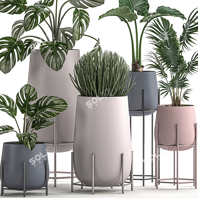 Tropical Plant Set: Palms, Monstera & More 3D model image 3