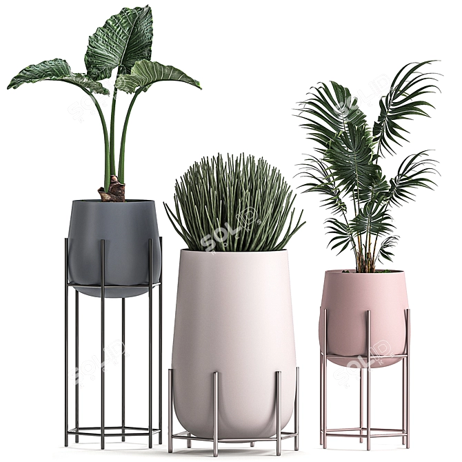Tropical Plant Set: Palms, Monstera & More 3D model image 4