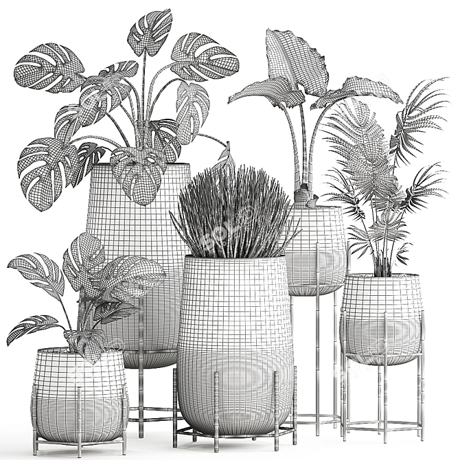 Tropical Plant Set: Palms, Monstera & More 3D model image 5