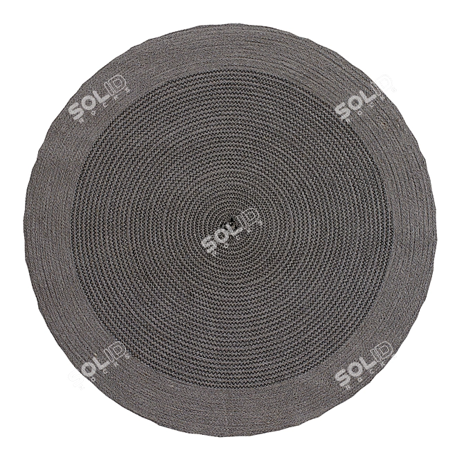 Natural Jute Rug with Color Accents 3D model image 2