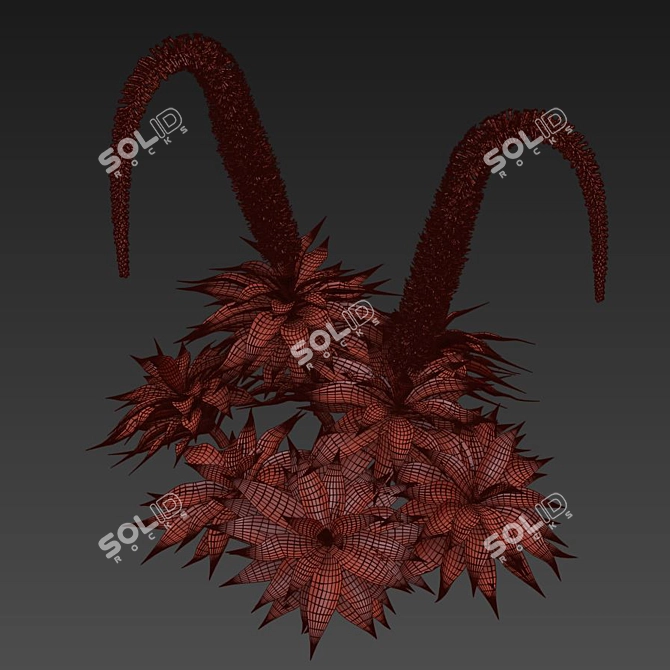 Agave Attenuata: Elegant Succulent for Polys 3D model image 5