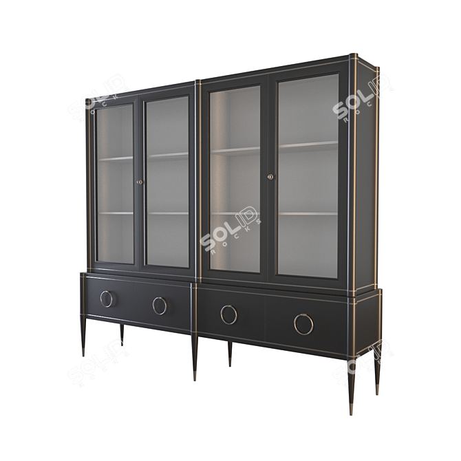 Ambra Libreria: Black Lacquered Bookcase with Metal Inserts 3D model image 1