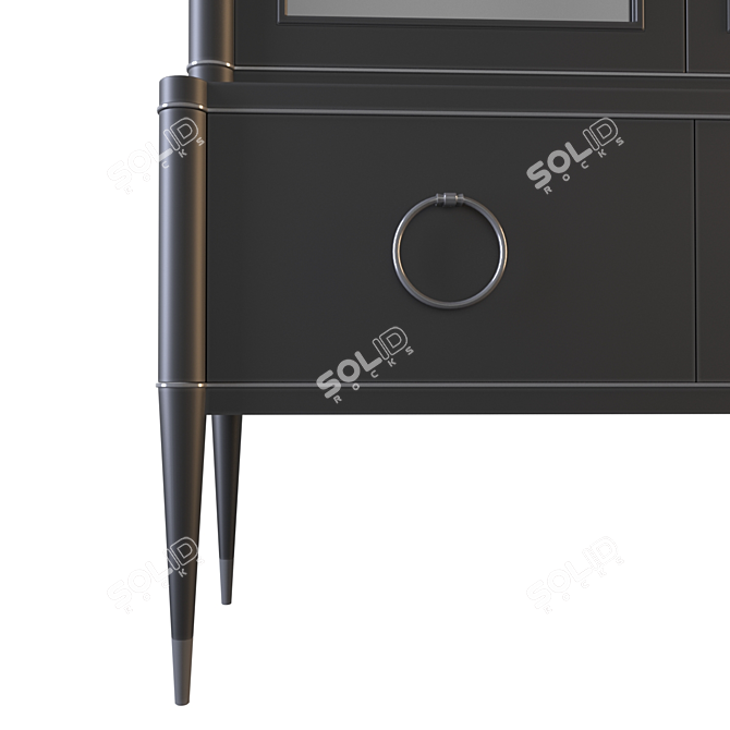 Ambra Libreria: Black Lacquered Bookcase with Metal Inserts 3D model image 2