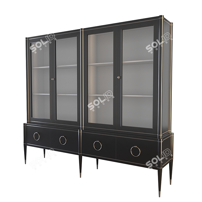 Ambra Libreria: Black Lacquered Bookcase with Metal Inserts 3D model image 4