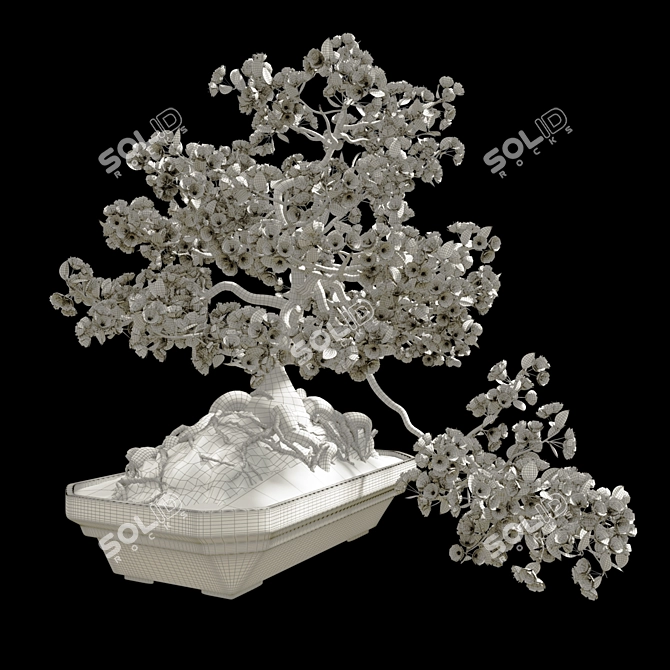 Miniature Sakura Bonsai 3D model image 2