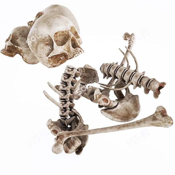 Grim Collection: Skull Pile 3D model image 3