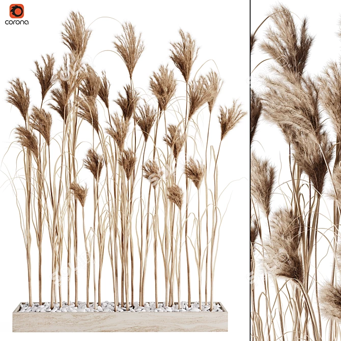 7 Stems Pampas Grass Bunch 3D model image 5