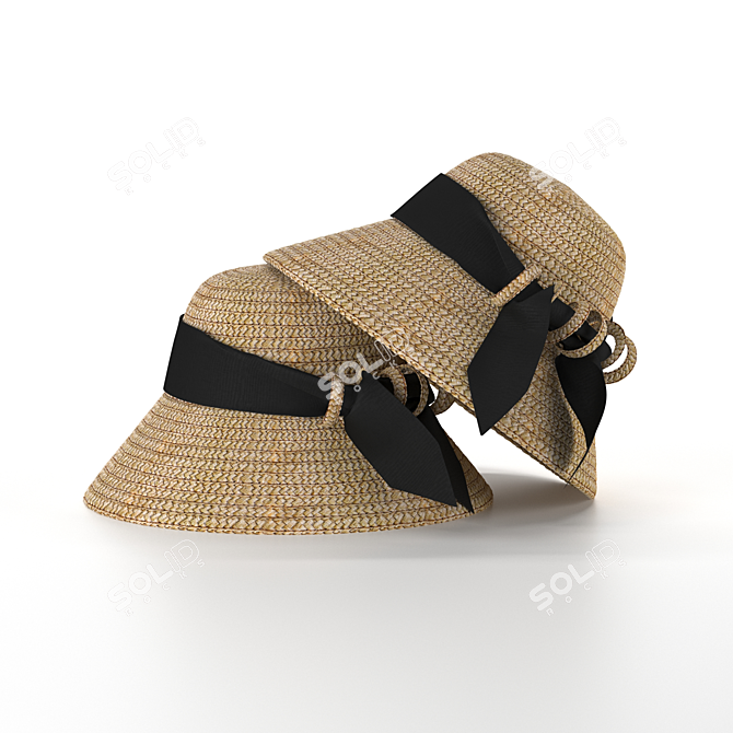 Chic Straw Hat for Stylish Summer Fashion 3D model image 2