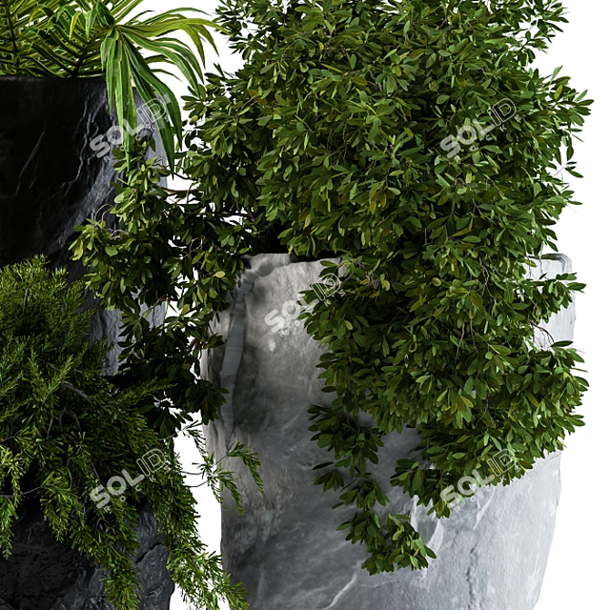 Rock Pot Plant Set 3D model image 4