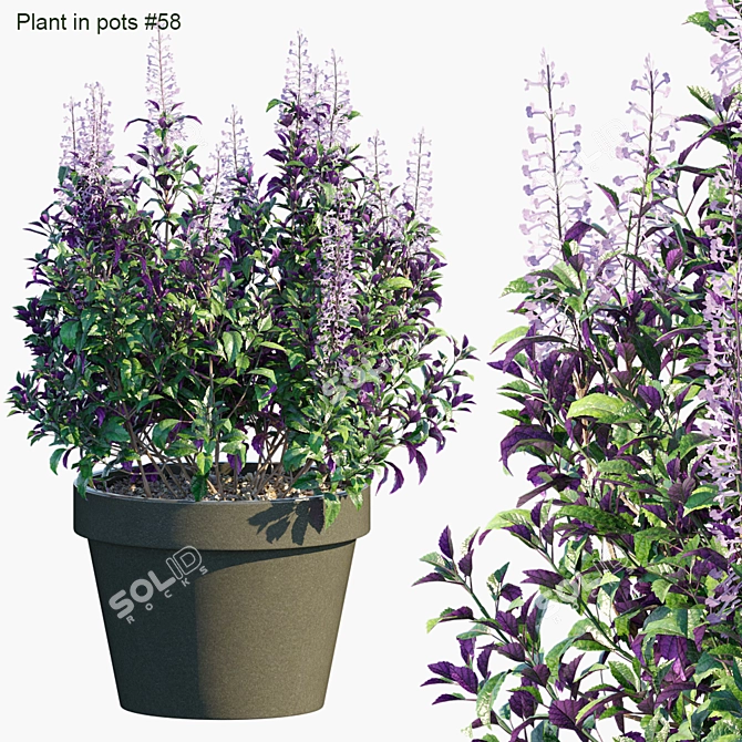 Mona Lavender: Versatile Pot Plant 3D model image 1