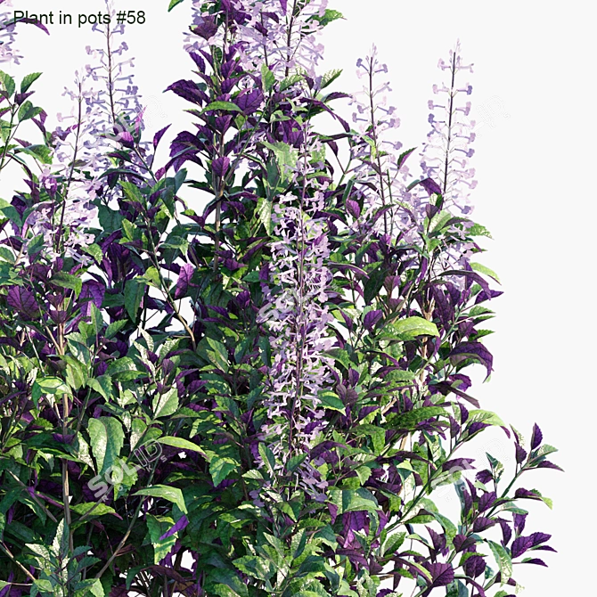 Mona Lavender: Versatile Pot Plant 3D model image 2