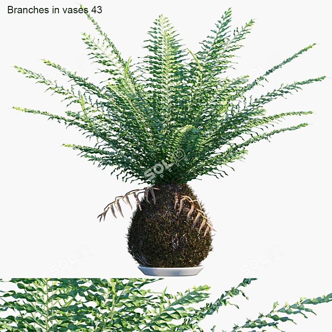 Zen Greenery: Branches in Vases 3D model image 1