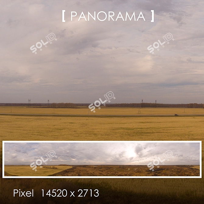 Field 11 Panorama: Perfect Background in Any Lighting 3D model image 1