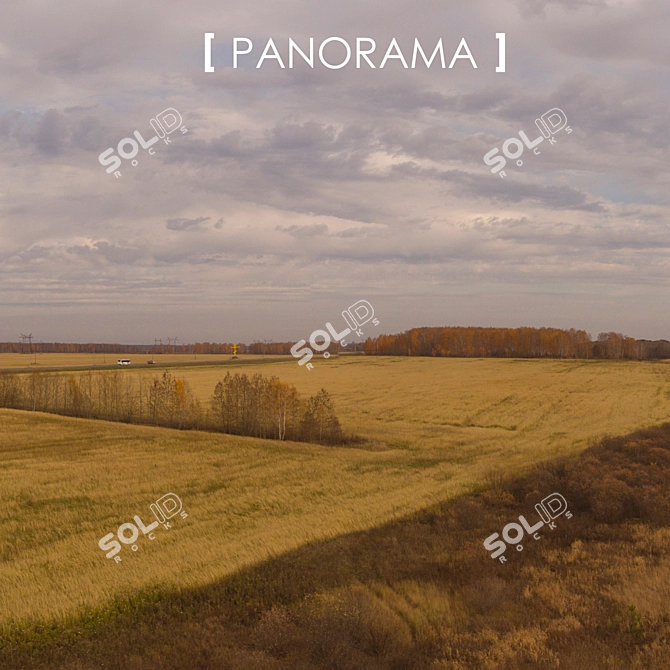 Field 11 Panorama: Perfect Background in Any Lighting 3D model image 2