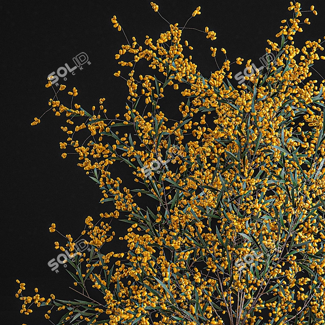 Title: Berry Bliss Bouquet - Elegant Decorative Branches & Berries 3D model image 4