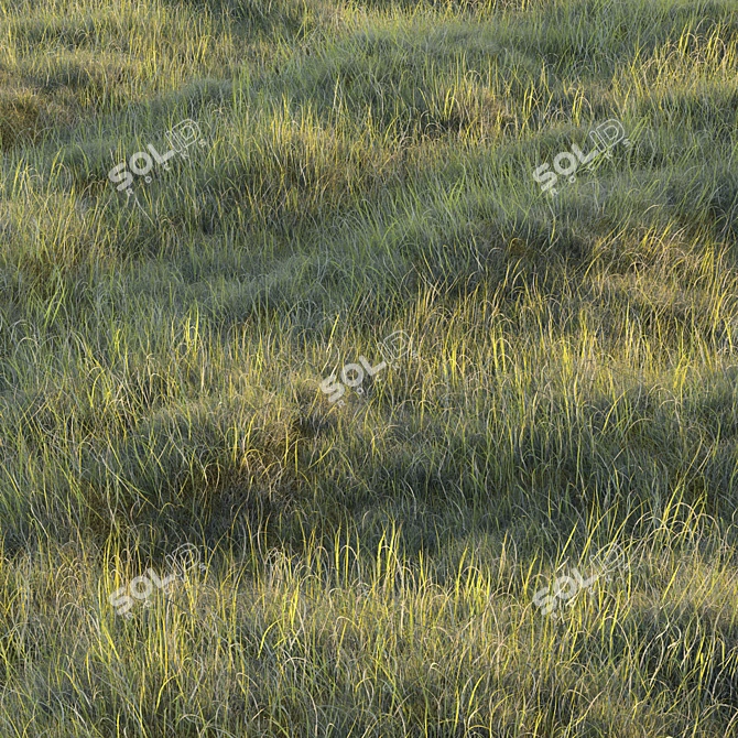 Lush Forest Grass Collection 3D model image 1