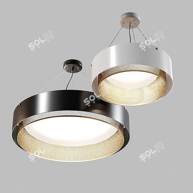 Modern Casing Pendant Light 3D model image 2