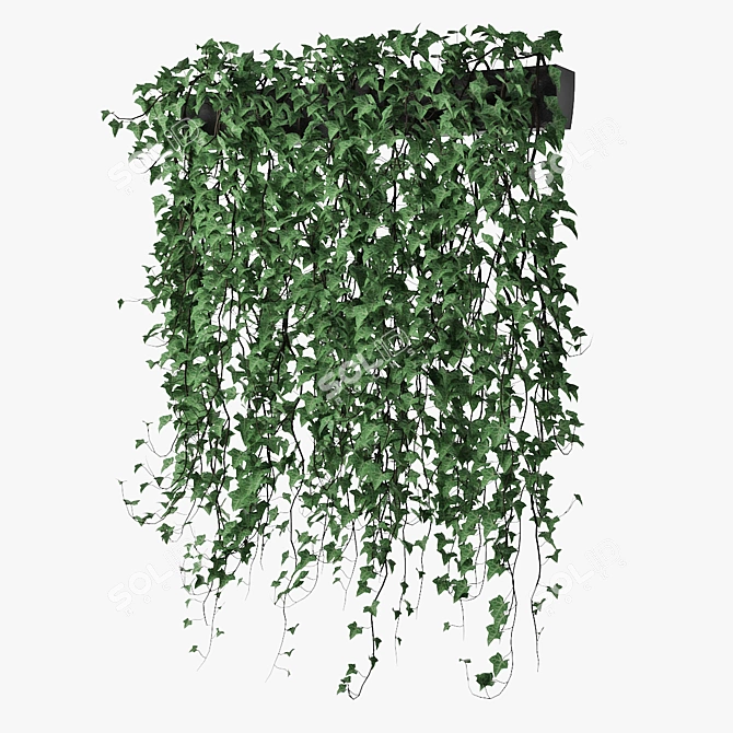 Lush Ivy in Pot 14 3D model image 1