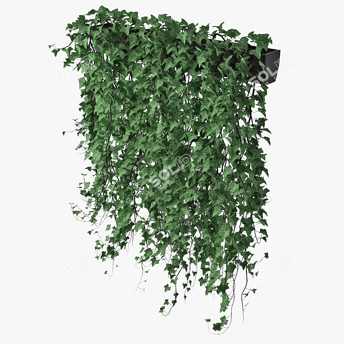 Lush Ivy in Pot 14 3D model image 2