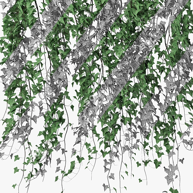 Lush Ivy in Pot 14 3D model image 4