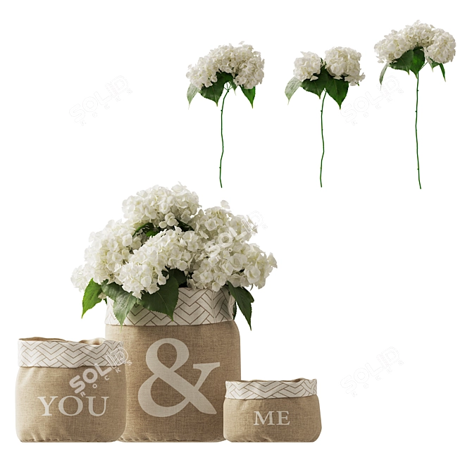 Changing Vase: White Hydrangea Elegance 3D model image 1