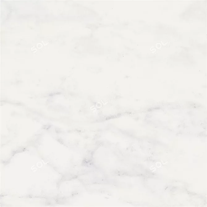 Elegant Carrara White Marble Flooring 3D model image 3