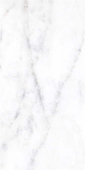 Classic Carrara Marble Set 3D model image 4