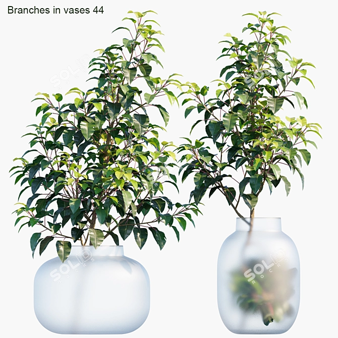 Elegant Branches in Vases 3D model image 1