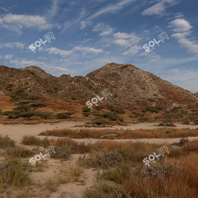 Spherical HDRI: Saudi Arabian Coastal Panorama 3D model image 4