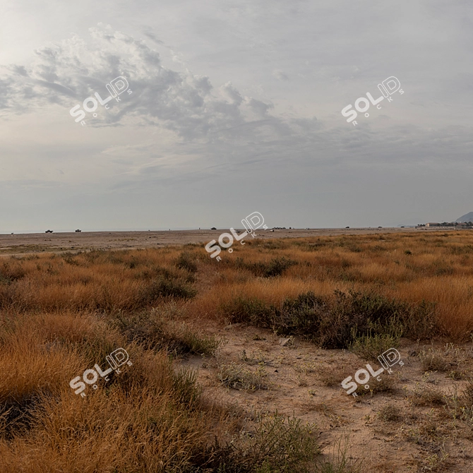 Spherical HDRI: Saudi Arabian Coastal Panorama 3D model image 5