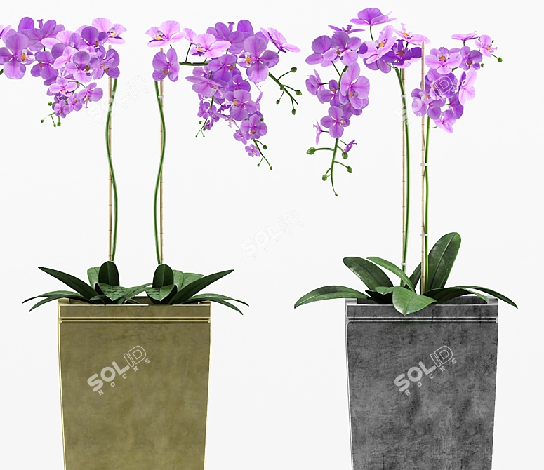 Floral 3D Orchids Set 3D model image 2