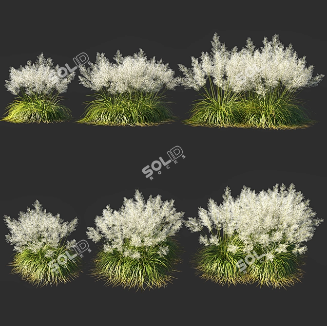 Ethereal White Muhly Grass 3D model image 1