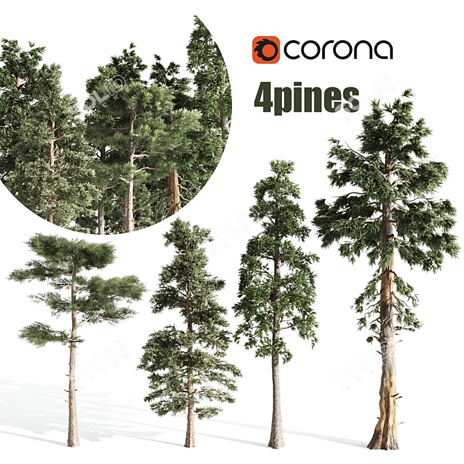 Tall Pines Collection: 4 Stunning Trees 3D model image 1