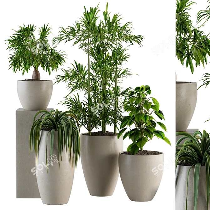  Green Oasis: Indoor Plant Set 3D model image 1