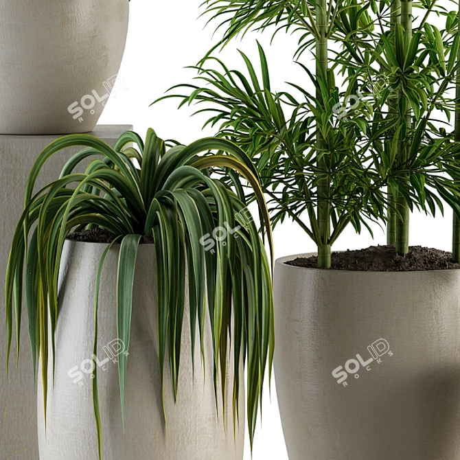  Green Oasis: Indoor Plant Set 3D model image 2