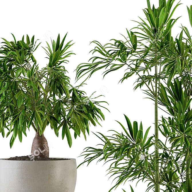  Green Oasis: Indoor Plant Set 3D model image 3