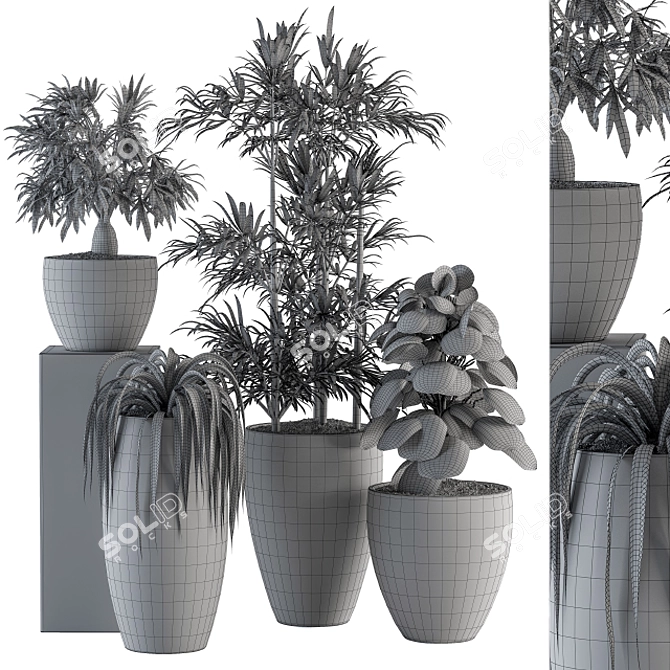  Green Oasis: Indoor Plant Set 3D model image 4