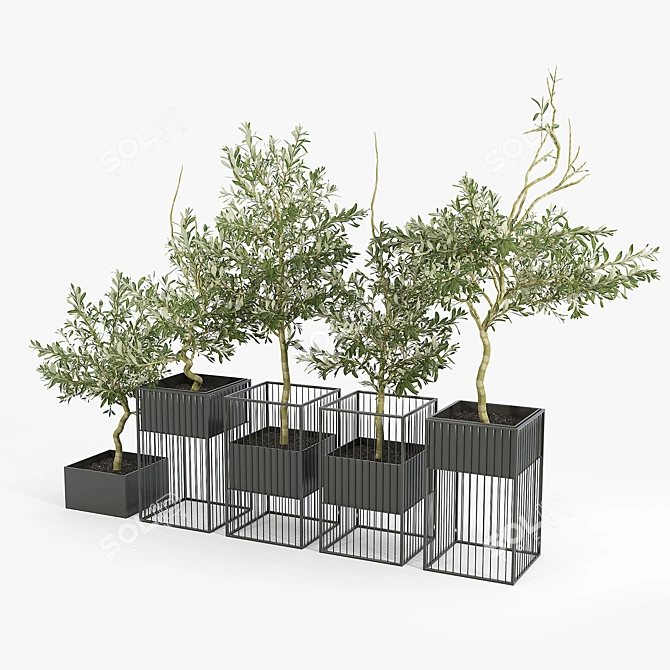 Elegant Olea Plant Stand: Polys: 1 276 906 3D model image 3