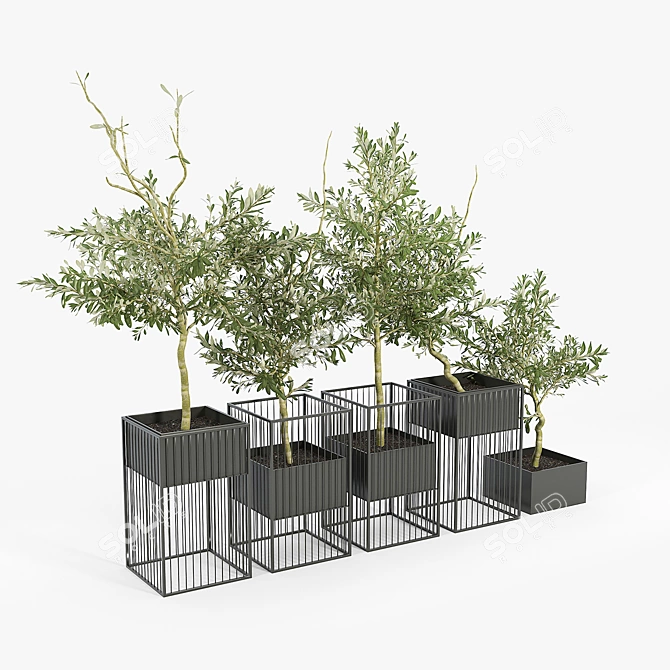 Elegant Olea Plant Stand: Polys: 1 276 906 3D model image 4