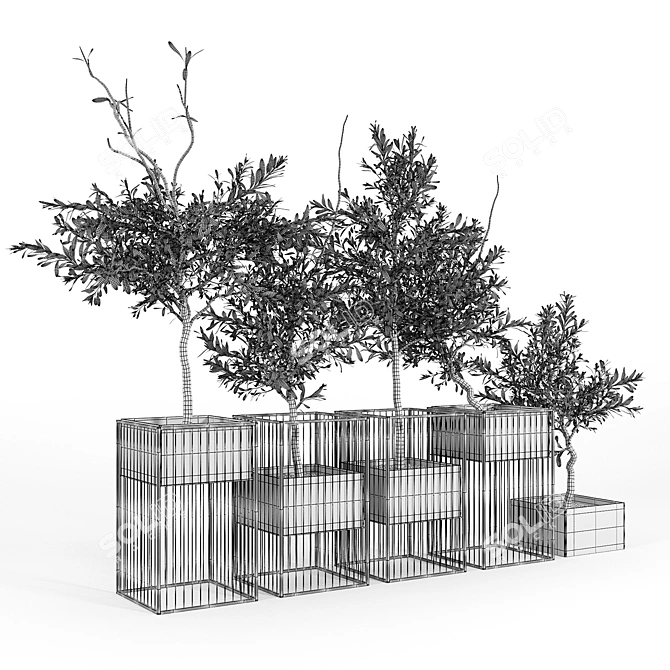 Elegant Olea Plant Stand: Polys: 1 276 906 3D model image 5