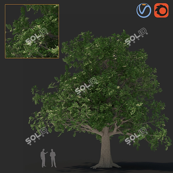 Versatile 3D Tree Model 3D model image 1