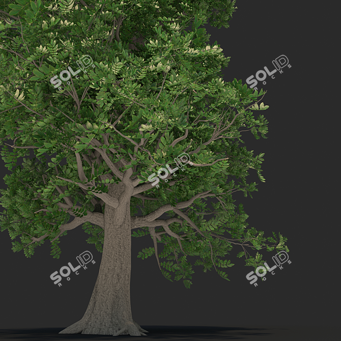 Versatile 3D Tree Model 3D model image 3