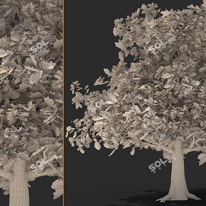 Versatile 3D Tree Model 3D model image 4