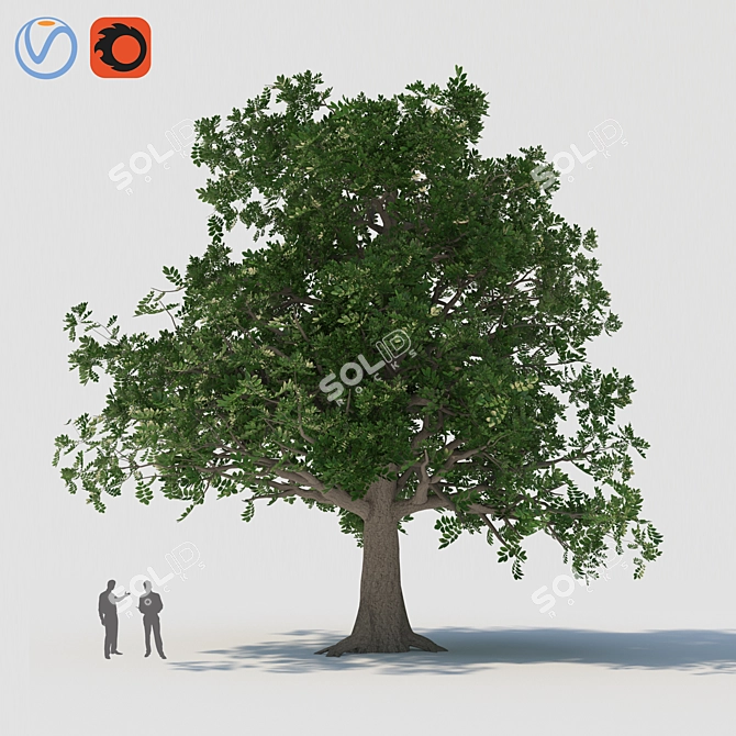 Versatile 3D Tree Model 3D model image 5