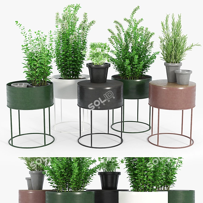 Round Plant Box: Versatile & Beautiful 3D model image 1