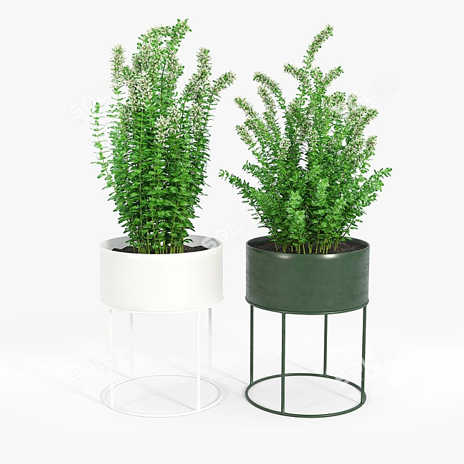 Round Plant Box: Versatile & Beautiful 3D model image 3